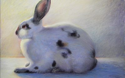 Virtual ZOOm Pet Drawing & Painting – Online | Ken Goldman-COMPLETE