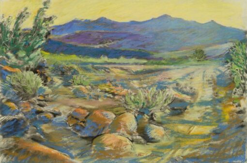 Ken Goldman: Borrego Dawn