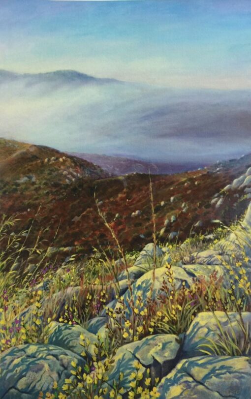 Ken_Goldman_Landscape_Giclee_Chaparral Fogrise - 31