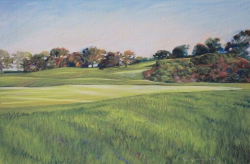 Ken Goldman: Torrey Pines Rough