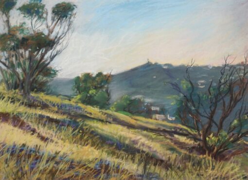 Ken Goldman: Torrey Pines Vista