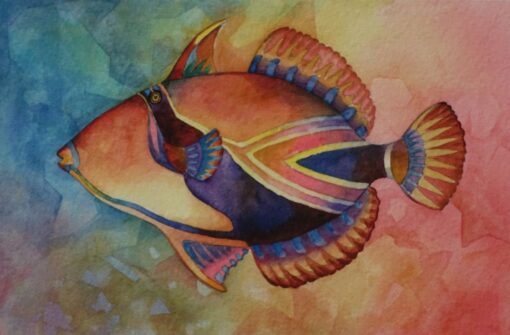 Ken Goldman: Humuhumu Fish