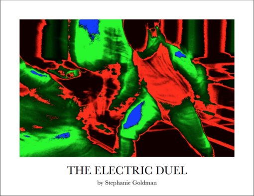 The Electric Duel Cover_Stephanie Goldman