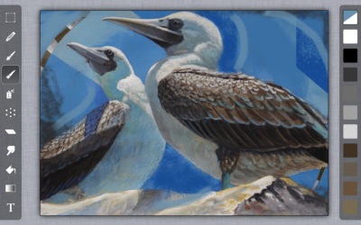 Solving Painting Problems On Your IPad with ARTSTUDIO Draw & Paint App | Ken and Stephanie Goldman COMPLETE