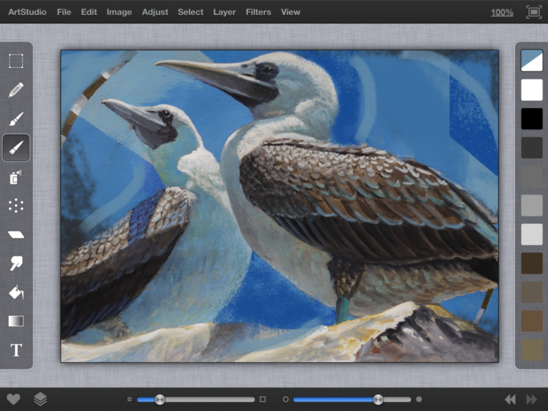 Solving Painting Problems On Your IPad with ARTSTUDIO Draw & Paint App | Ken and Stephanie Goldman COMPLETE