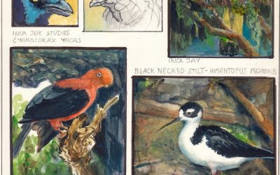 56. Pet Drawing and Painting Workshop – Ken Goldman-COMPLETE