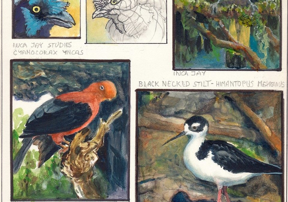 56. Pet Drawing and Painting Workshop – Ken Goldman-COMPLETE