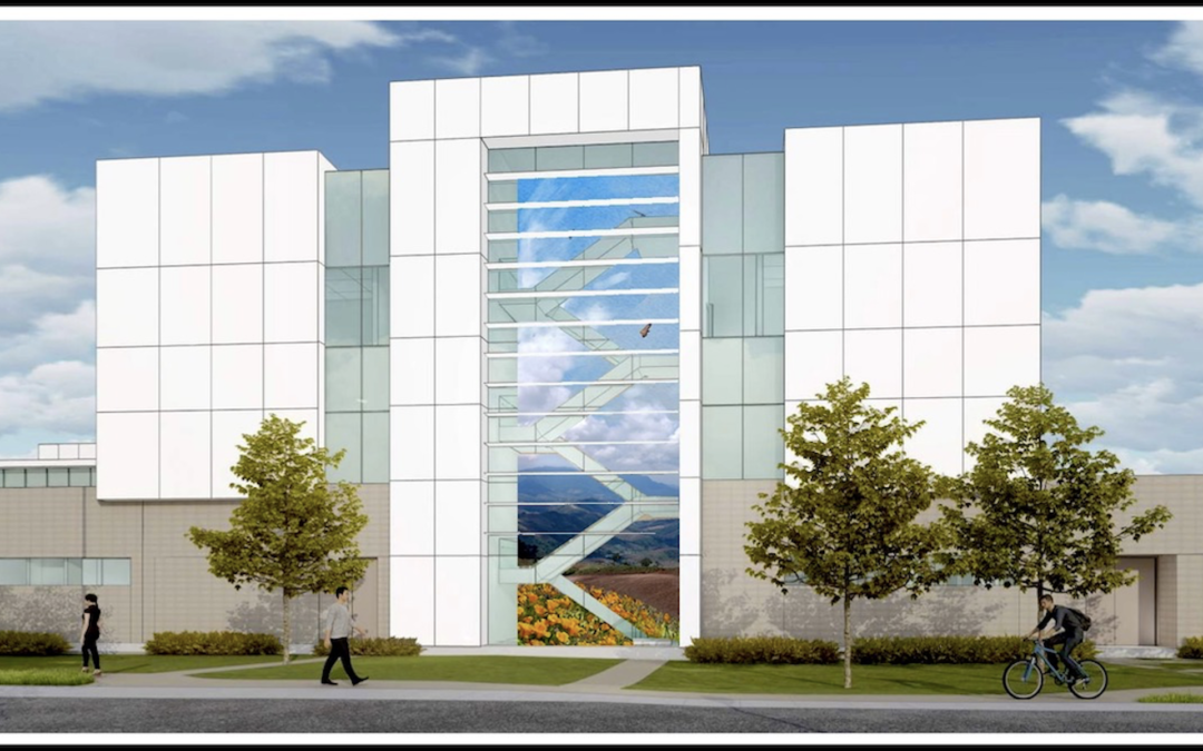 Scripps Encinitas Hospital Stairway Mural